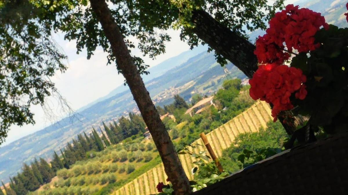 Il Leccio - Casa Toscana San Gimignano Gambassi Terme Dış mekan fotoğraf