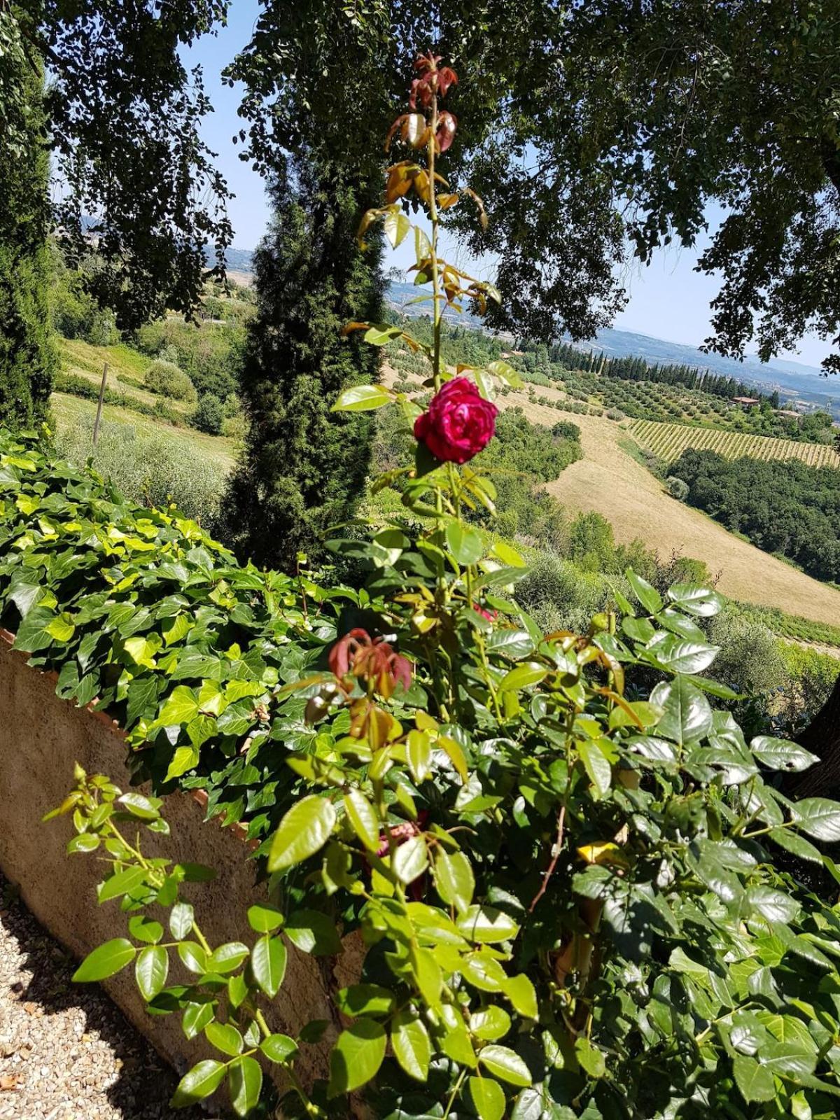 Il Leccio - Casa Toscana San Gimignano Gambassi Terme Dış mekan fotoğraf