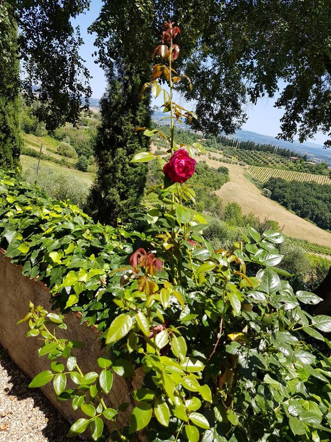 Il Leccio - Casa Toscana San Gimignano Gambassi Terme Dış mekan fotoğraf